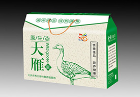 原生態(tài)大雁蛋